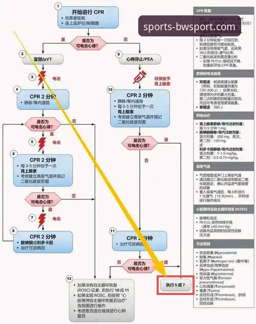 宝威体育新手教程哪个好 宝威体育新手教程哪个好?2025新版官方指南深度解析